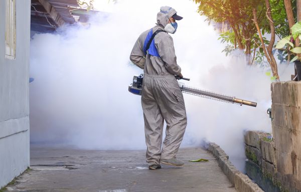 Mosquito Control Service