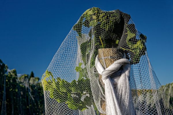 Bird Proofing Net Installation